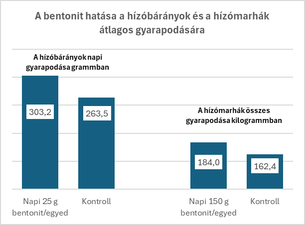 Költséghatékony marha- és bárányhízlalás